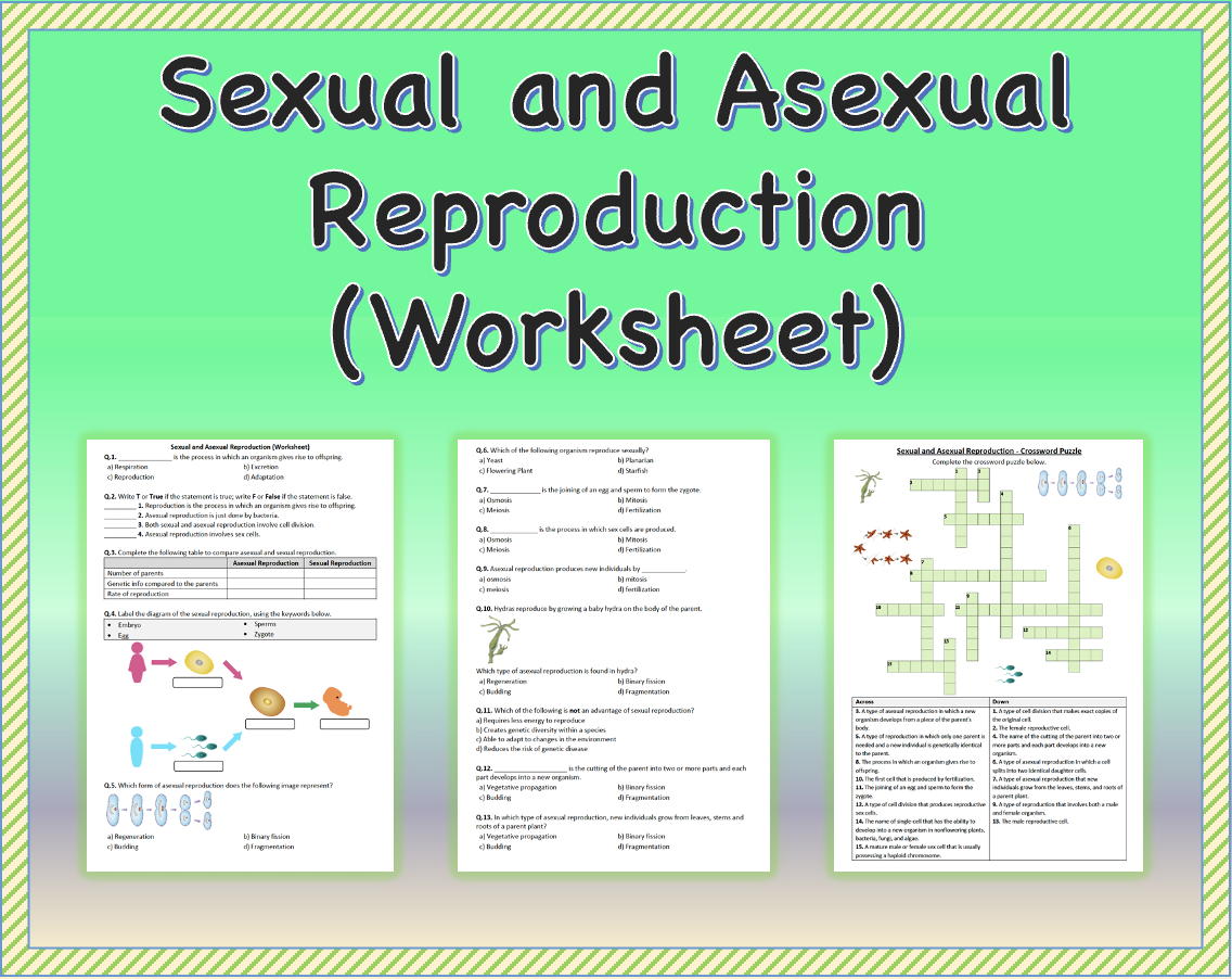Sexual And Asexual Reproduction Worksheet Printable And Distance Learning Worksheets Library