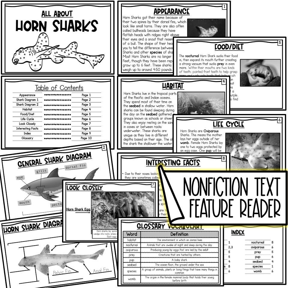 Teaching Nonfiction Text Features With Sharks Teaching Nonfiction Text Features With Sharks