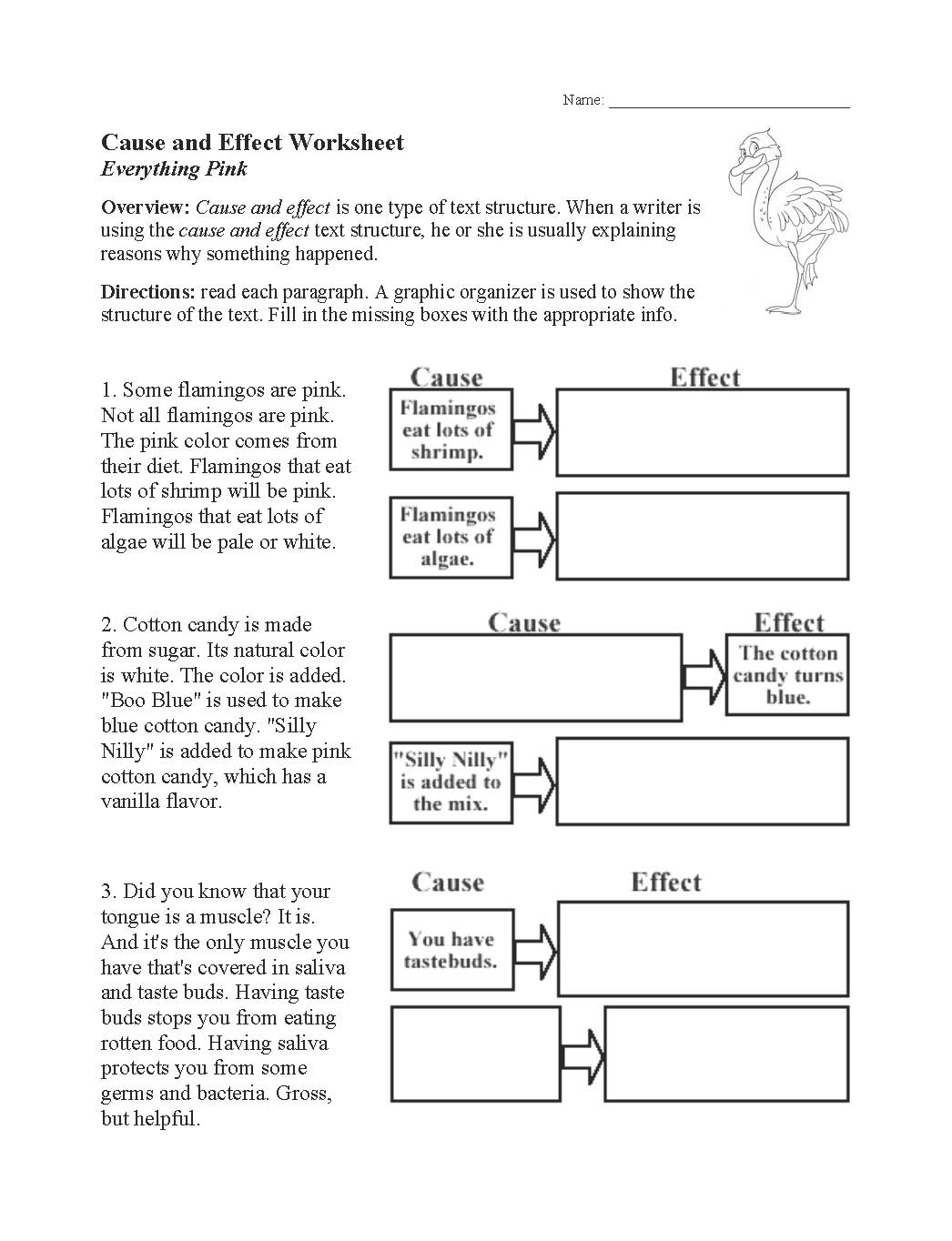 Text Structure Worksheets Free For Primary Grades