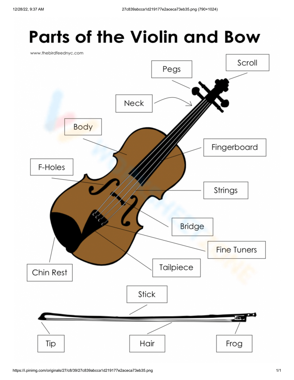 Violin Parts Musical Instrument Worksheet