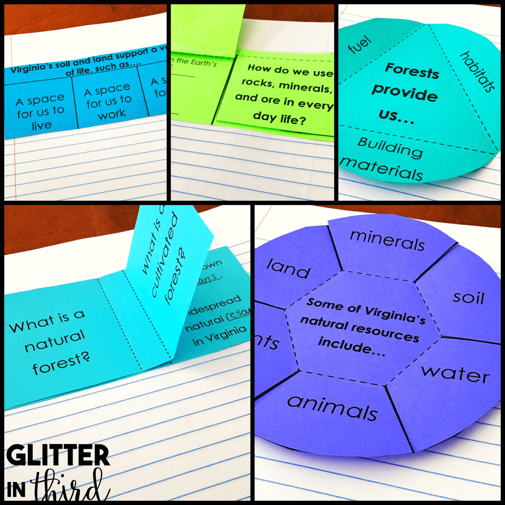 Virginia S Natural Resources On Plants Animals Interactive Notebook SOL 4 8 Glitter In Third