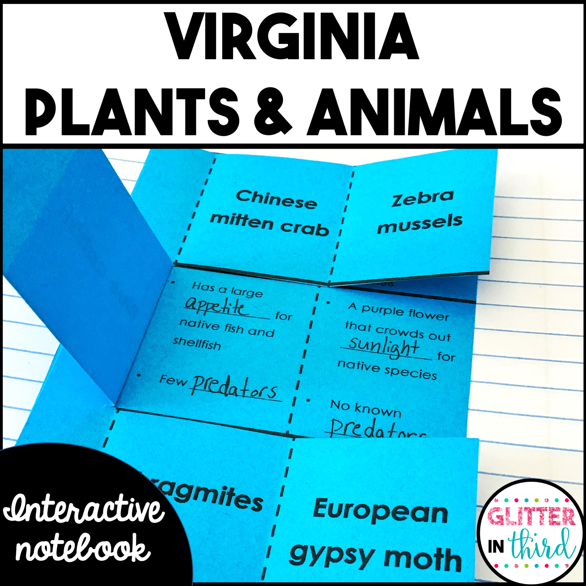 Virginia S Natural Resources On Plants Animals Interactive Notebook SOL 4 8 Glitter In Third